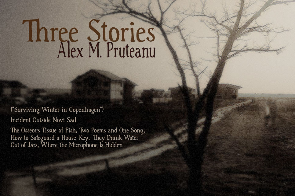 Artwork for Alex M. Pruteanu's stories