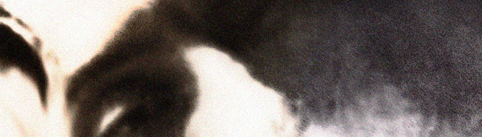 portion of the artwork for Janet Shell Anderson's fiction