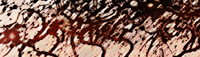 portion of the artwork for Kevin Catalano's fiction