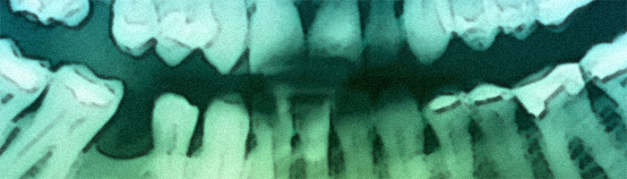 portion of the artwork for Jason Primm's short story