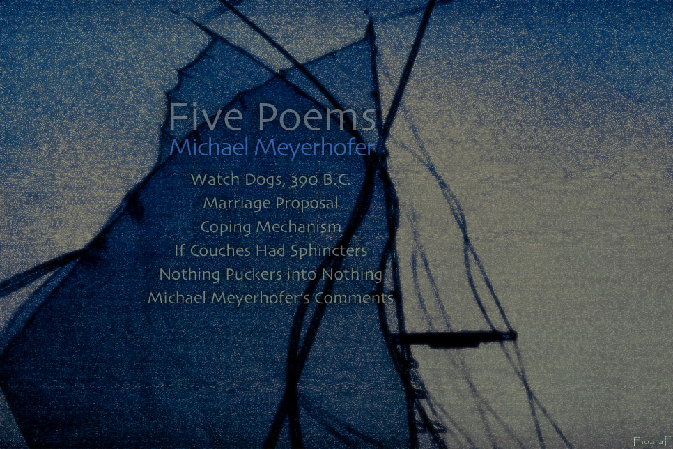 Artwork for Michael Meyerhofer's poems