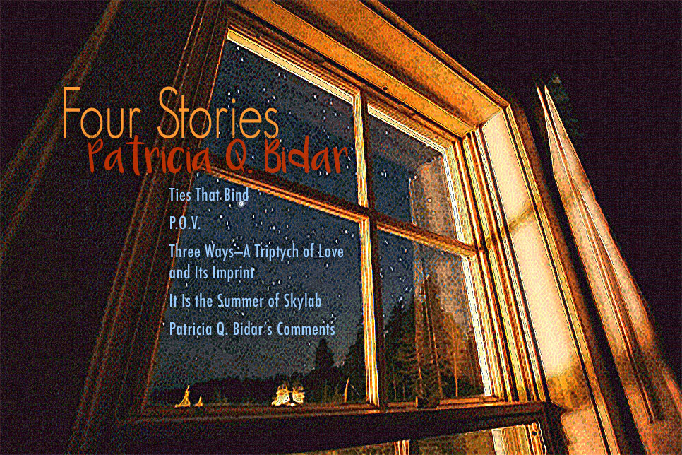 Artwork for Patricia Q. Bidar's stories