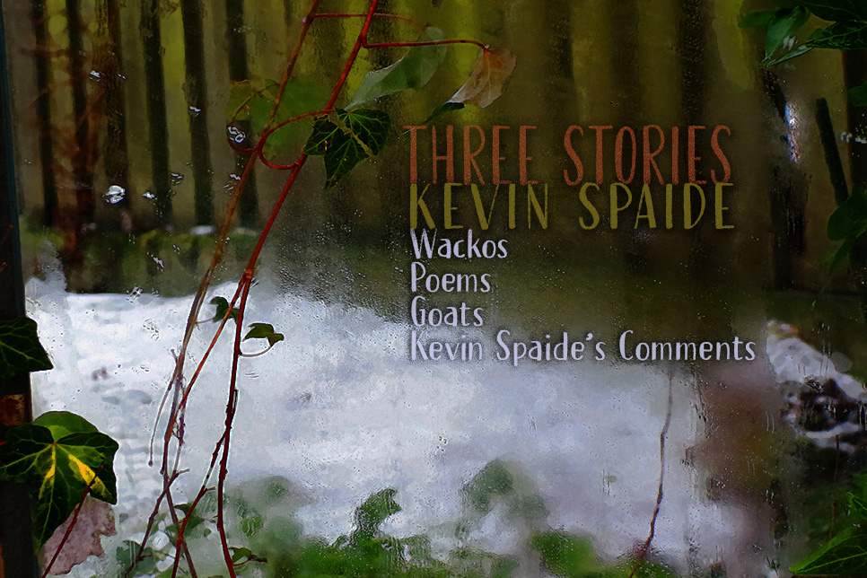 Artwork for Kevin Spaide's stories