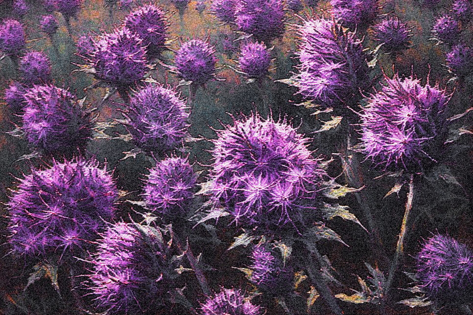 artwork for Michelle Ross's short story The Idea