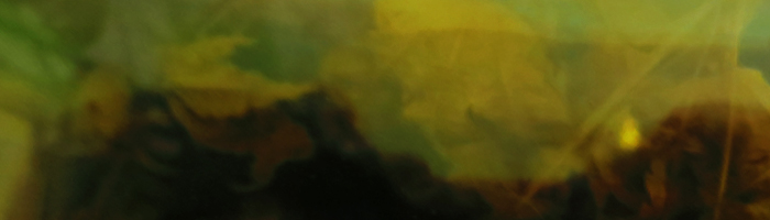 portion of the artwork for E. Martin Pedersen's poetry
